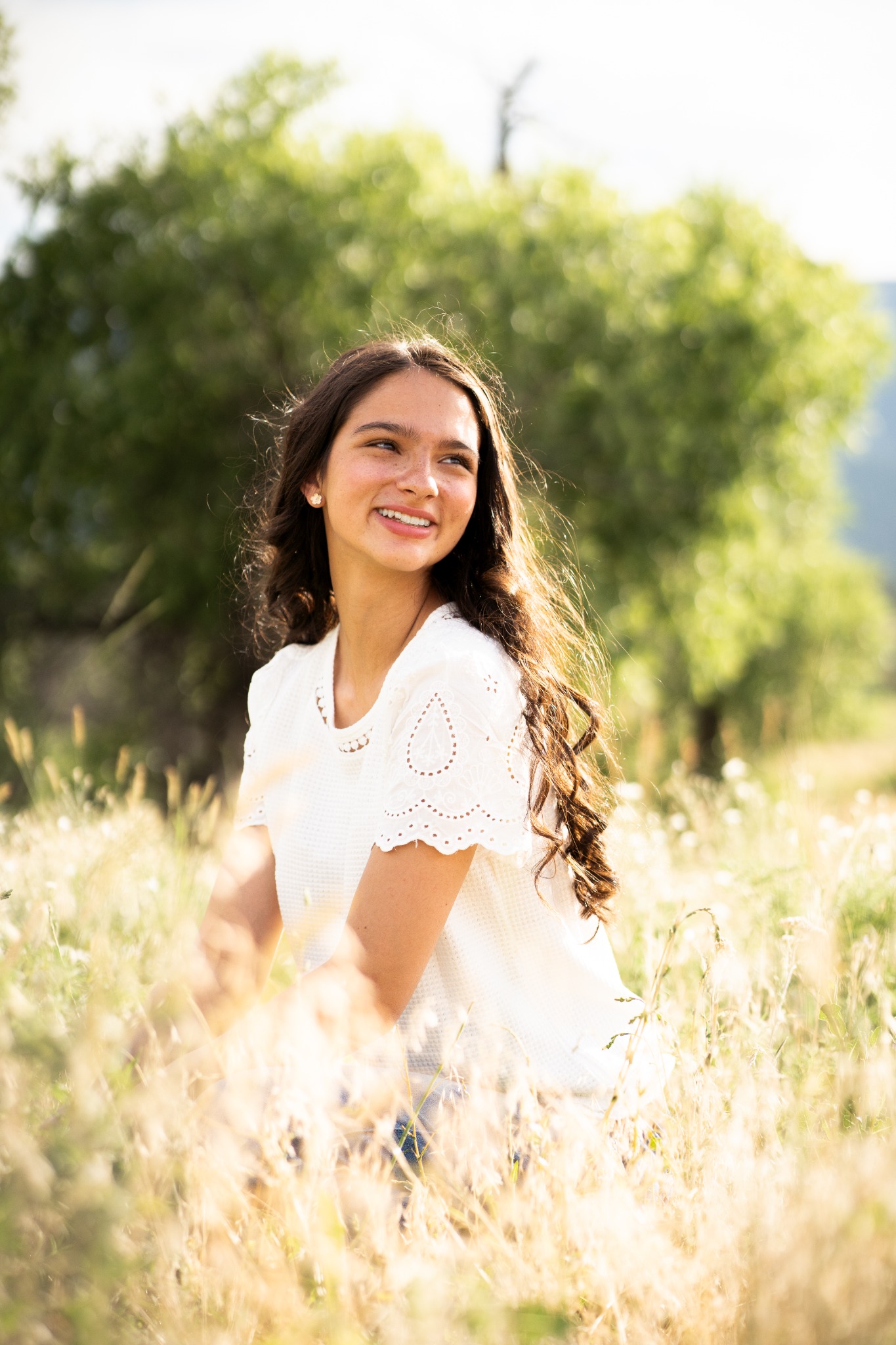 Sunlit senior portrait in a Colorado meadow